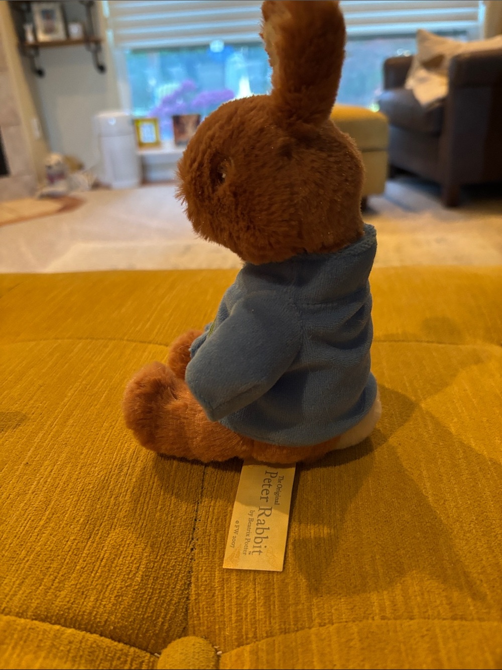 Peter Rabbit - Picture 2 of 5